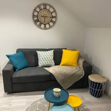 Apartment F2 50m2 Atypique En Souplex Vue Basilique Saint-Nicolas-de-Port