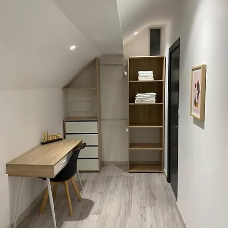 F2 50m2 Atypique En Souplex Vue Basilique *