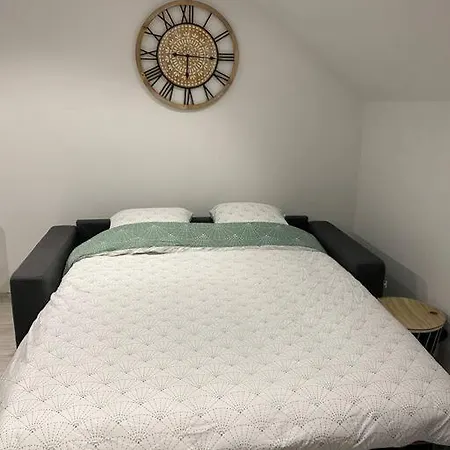 F2 50m2 Atypique En Souplex Vue Basilique Saint-Nicolas-de-Port