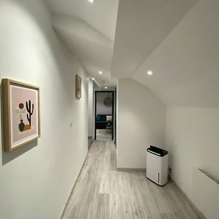 F2 50m2 Atypique En Souplex Vue Basilique