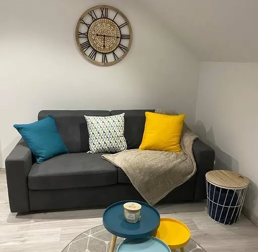 Apartamento F2 50m2 Atypique En Souplex Vue Basilique Saint-Nicolas-de-Port