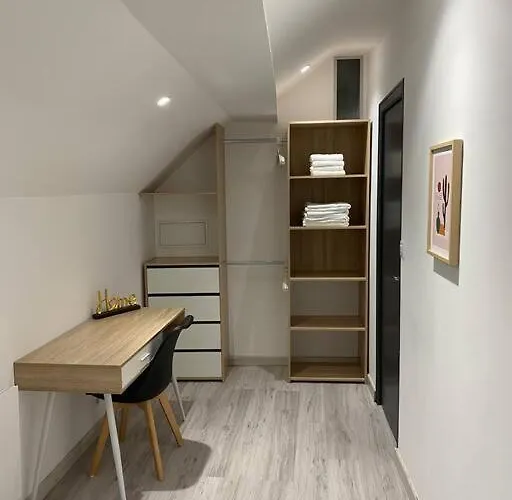 F2 50m2 Atypique En Souplex Vue Basilique *