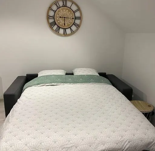 F2 50m2 Atypique En Souplex Vue Basilique Saint-Nicolas-de-Port