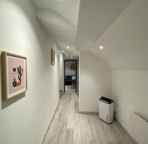 F2 50m2 Atypique En Souplex Vue Basilique